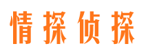 南湖市调查公司